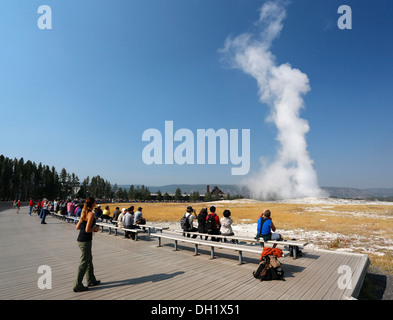 Les touristes regardant l'éruption du geyser Old Faithful, le Parc National de Yellowstone, Wyoming, USA Banque D'Images