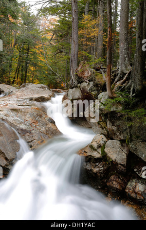 Chutes du bassin, Franconia Notch State Park, New Hampshire, USA Banque D'Images