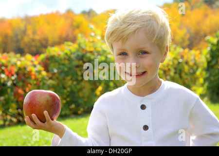Un mignon, jeune enfant est une très grande pomme rouge en face de la belle couleur d'automne feuillage d'un verger Banque D'Images