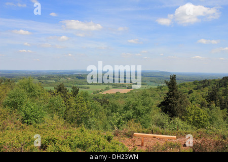 Gibbet Hill, Hindhead Surrey England UK Banque D'Images