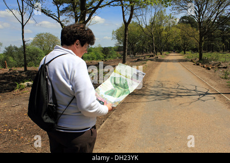 Femme plus âgée pensionné reading map on path à Hindhead Surrey England UK Banque D'Images