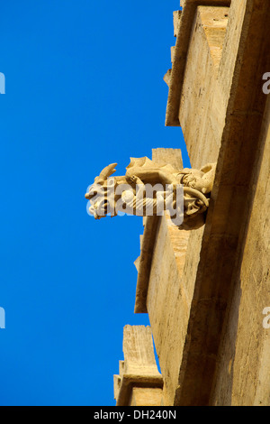 Détail de la Lonja de la Seda, Valencia, Espagne Banque D'Images