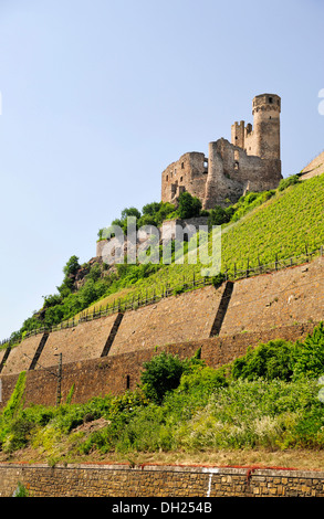Le Château d'Ehrenfels, Assmannshausen, Ruedesheim, Vallée du Haut-Rhin moyen, un site classé au Patrimoine Mondial, Hesse Banque D'Images