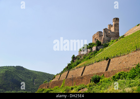 Le Château d'Ehrenfels, Assmannshausen, Ruedesheim, Vallée du Haut-Rhin moyen, un site classé au Patrimoine Mondial, Hesse Banque D'Images
