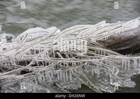 La glace sur un balais Banque D'Images