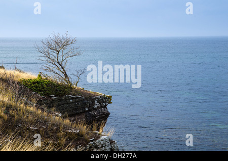 Falaises calcaires à pente raide par la côte de la mer Baltique en Suède. Banque D'Images