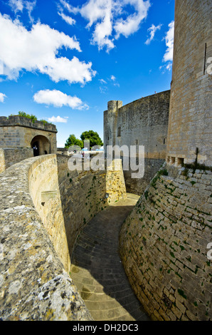 Castillo de Bellver, château de Bellver, Palma de Mallorca, Majorque, Îles Baléares, Espagne, Europe Banque D'Images