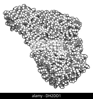 Le polystyrène (PS) plastique, structure chimique. Utilisé dans les matériaux isolants, jouets, emballages, contenants alimentaires, etc. Banque D'Images