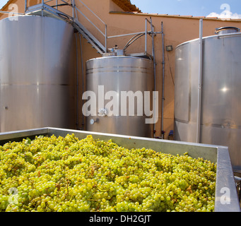 Chardonnay vinification par fermentation des raisins et des navires citernes en acier inoxydable Banque D'Images