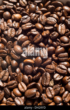 Close-up view of roasted Coffee beans, sur un fond blanc. Banque D'Images