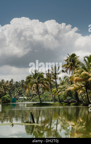 D'énormes nuages storm casting sur le ciel. cocotiers sur la toile avec une petite rivière au premier plan. Banque D'Images