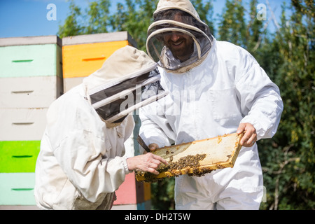 L'Inspection du châssis en nid d'apiculteurs Banque D'Images