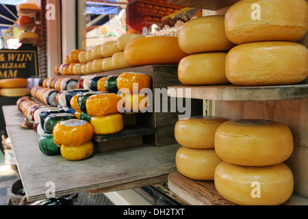 Fromage Edam, Pays-Bas boutique, Surrey, Edam, Käseladen Banque D'Images