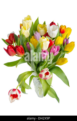 Bouquet de tulipes dans un vase de cristal Banque D'Images
