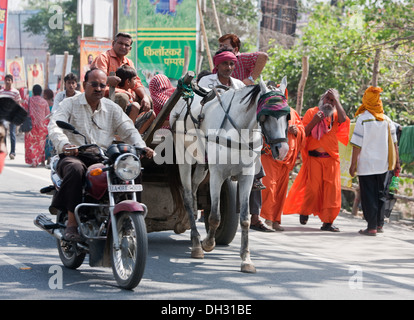 Panier cheval et l'homme sur la moto sur la rue de l'Asie l'Inde Uttarakhand Haridwar Banque D'Images