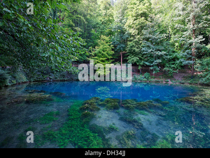 Allemagne, Bade-Wurtemberg, Blaubeuren, Bleu Pot, Deutschland, Bade-Wurtemberg, Blaubeuren, Blautopf Banque D'Images