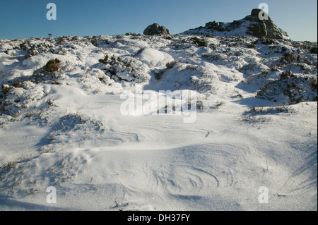 Par temps neigeux Haytor, Dartmoor National Park, Devon, Grande Bretagne. Banque D'Images