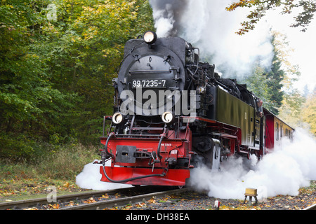 Une locomotive à vapeur tirant un train de voyageurs sur le chemin de fer de montagne du Harz au Brocken, Allemagne Banque D'Images