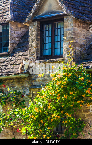 Un chat est assis sur le toit de l'un des célèbres maisons de tisserands à Arlington Row, Bibury. Banque D'Images