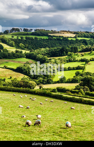Une averse orageuse, journée d'été dans le parc national de Brecon Beacons, le Pays de Galles. Banque D'Images