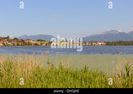 Le lac Hopfensee avec Hopfen am See, Hopfen am See, Hopfen am See, Allgäu, Haute-Bavière, Bavière, Allemagne Banque D'Images