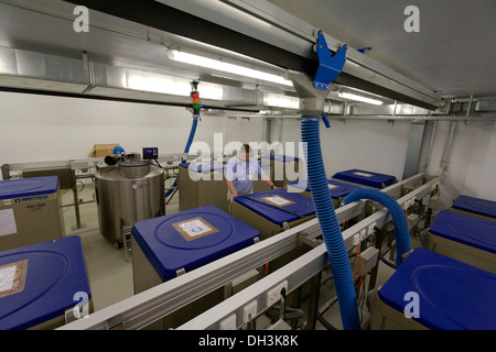 Les cellules souches stockées dans des réservoirs d'azote, les cellules souches au laboratoire, l'hôpital Klinikum Tuebingen Tuebingen, Bade-Wurtemberg Banque D'Images