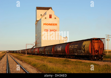 Grenier, l'élévateur à grain, Saskatchewan, Canada Banque D'Images