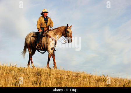 Cowboy à cheval à travers la prairie, Cypress Hills, en Saskatchewan, province, Canada Banque D'Images