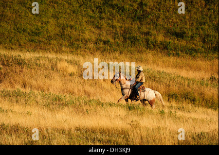 Cowboy à cheval à travers la prairie, Cypress Hills, en Saskatchewan, province, Canada Banque D'Images