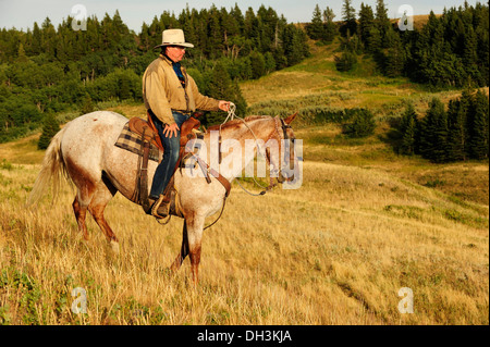 Cowboy à cheval à travers la prairie, Cypress Hills, en Saskatchewan, province, Canada Banque D'Images