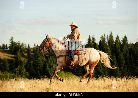 Cowboy à cheval à travers la prairie, Cypress Hills, en Saskatchewan, province, Canada Banque D'Images