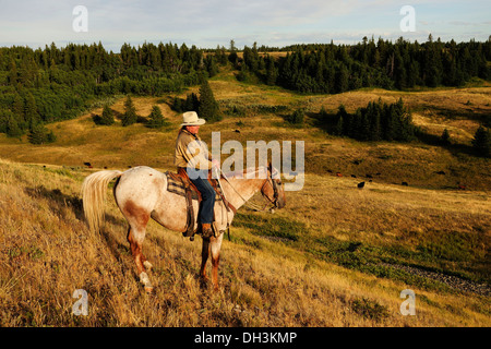 Cowboy à cheval à travers la prairie, Cypress Hills, en Saskatchewan, province, Canada Banque D'Images