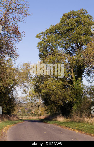 An English country lane en automne. Banque D'Images