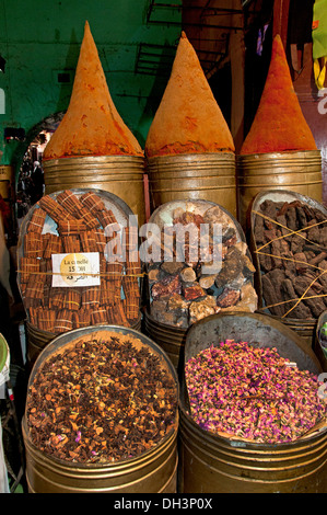 Épicier marrakech maroc marché saison herbes Épices Banque D'Images