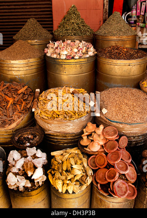 Épicier marrakech maroc marché saison herbes Épices Banque D'Images