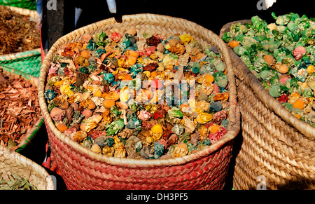 Épicier marrakech maroc marché saison herbes Épices Banque D'Images