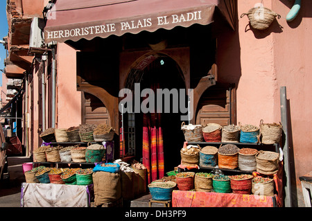 Épicier marrakech maroc marché saison herbes Épices Banque D'Images