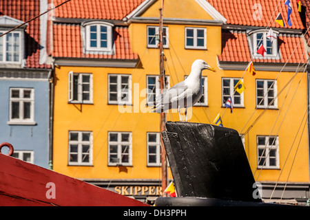 Seagull sur bateau historique en face de la maison colorée dans Nyhavn à Copenhague, Danemark Banque D'Images