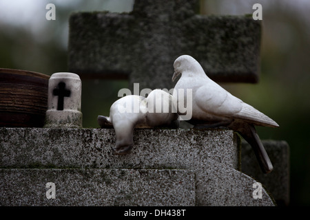 Figure de colombe morte sur une tombe dans le cimetière Banque D'Images