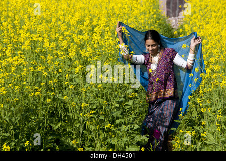 Femme dans la moutarde des champs M.# 786 Banque D'Images