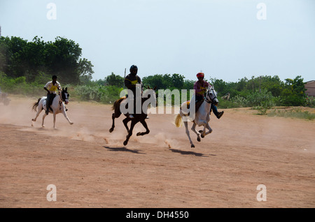 Course de chevaux au festival de marwar Jodhpur Inde Banque D'Images