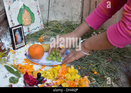 Offrant fruits fleurs orange raisins de Seigneur Shiva et Ganesh sur Shivratri Jodhpur Rajasthan Inde Asie festival Banque D'Images