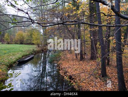 Le village de Spreewald Lehde, Allemagne. 30Th Oct, 2013. Une petite rivière est encadrée par autumnally arbres colorés près du village de Spreewald Lehde, Allemagne, 30 octobre 2013. La réserve de biosphère de l'UNESCO Spreewald est un refuge unique pour de nombreuses espèces animales et végétales. Photo : PATRICK PLEUL/dpa/Alamy Live News Banque D'Images