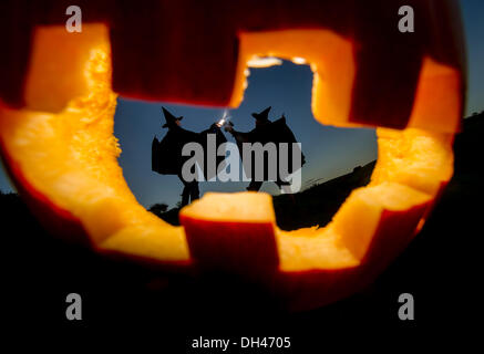 Devon, UK . 29 Oct, 2013. Les sorcières se préparer pour l'Halloween ou All Hallows' Eve, dans le Devon, marquant la fête celtique de Samhain, célébrant la nouvelle année païennes marquant traditionnellement la fin de la saison estivale et la fin de la récolte. Cette année a été l'une des meilleures récoltes de citrouille pendant des années à cause de printemps humide et chaud de l'été. © Guy harrop/Alamy Live News Banque D'Images