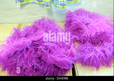 Afrique du Sud usine de plumes d'Autruche Banque D'Images