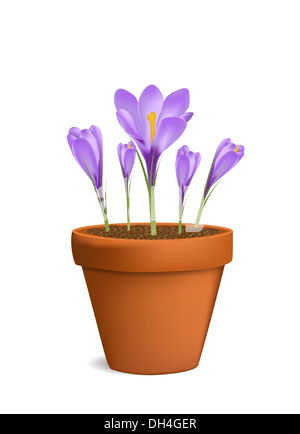 Crocus en pot de vector illustration Banque D'Images