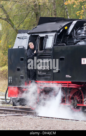 Une locomotive à vapeur sur le chemin de fer de montagne du Harz au Brocken Banque D'Images