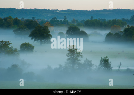 Surrey Hills, couchers de Box Hill Banque D'Images