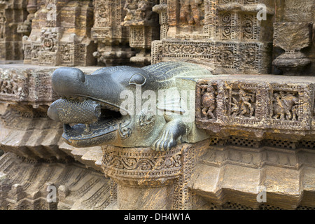 Bec d'eau de tête de crocodile avec un poisson dans sa bouche.Temple de Mahadevi, complexe du temple de Konark Sun, Orissa, Inde Banque D'Images