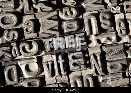 Plomb ancien lettres formant le mot arbre Banque D'Images